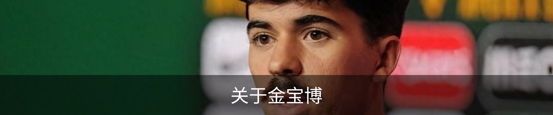 关于金宝博
