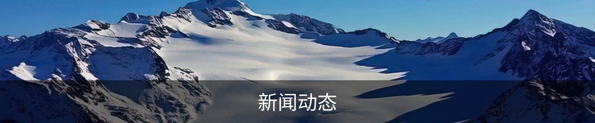 新闻动态