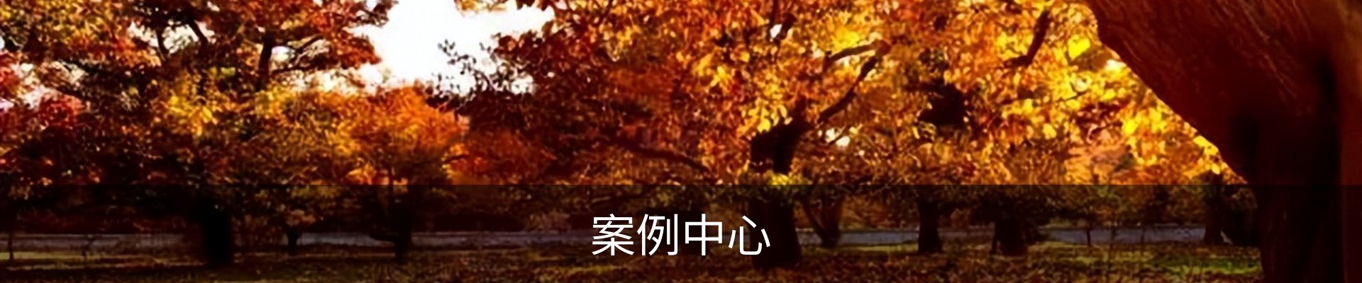 案例中心