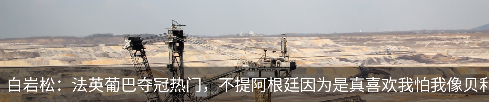 新闻动态
